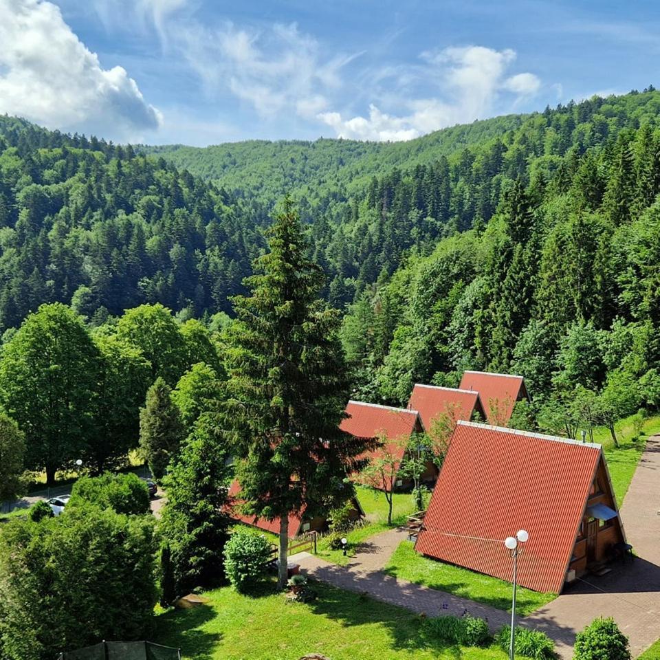 Perelka Bieszczady Domki Cisna Luaran gambar